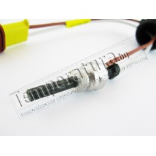 Свеча накала к Eberspacher Airtronic D2, D4, 24v, бензин/дизель